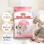 ロイヤルカナン キトン