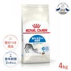 ロイヤルカナン インドア 4kg